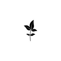  Young plant icon isolated on white background
