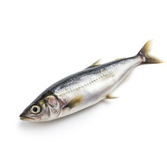 Herring fish isolated on white. Generative AI