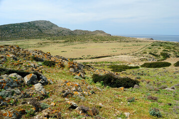 Paesaggio dell'Asinara in localià Campo Perdu