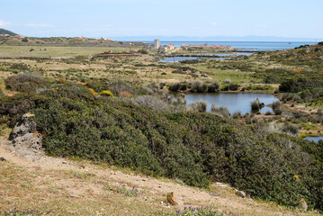 Fototapeta na wymiar Veduta di Campo Perdu nell'isola dell'Asinara