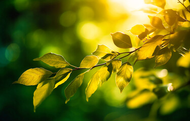 a green background with leaves and branches