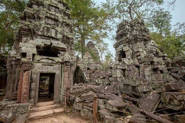 Ta Prohm Temple in Angkor Archaeological Park, Siem Reap, Cambodia