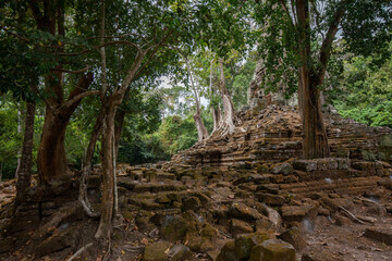 Fototapeta na wymiar Angkor Archaeological Park, s one of the most important archaeological sites in South-East Asia. Stretching over some 400 km2, including forested area