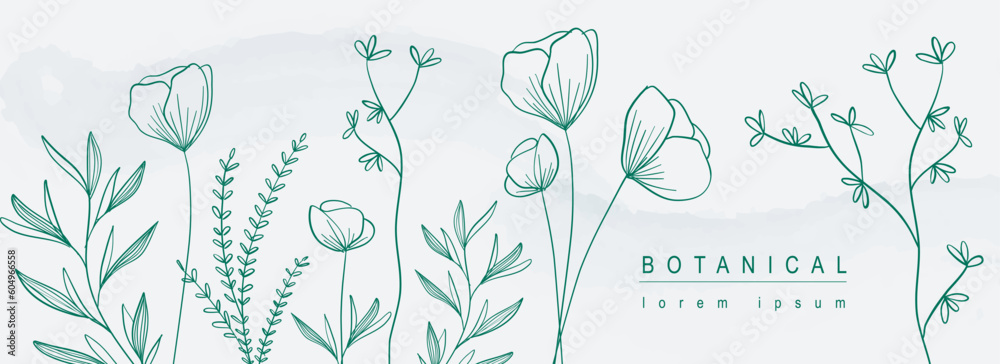 Poster Botanical abstract background with floral line art design. Horizontal web banner in minimal style with blooming poppy flowers contour, different leaves and plant twigs border. Vector illustration.