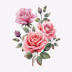 Watercolor Light Pink Rose Bouquets with Delicate Vines - White Background Clipart AI generated 