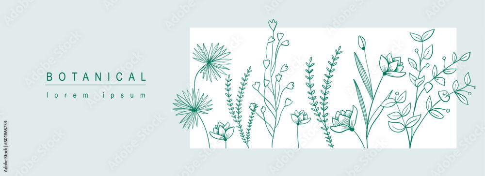 Poster Botanical abstract background with floral line art design. Horizontal web banner in minimal style with blooming different flowers, wildflowers, herbs and leaves in frame template. Vector illustration.