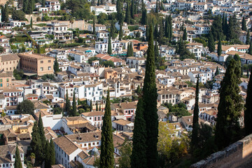 Obraz premium Architectural details of the Alhambra fortified palace complex and Granada city