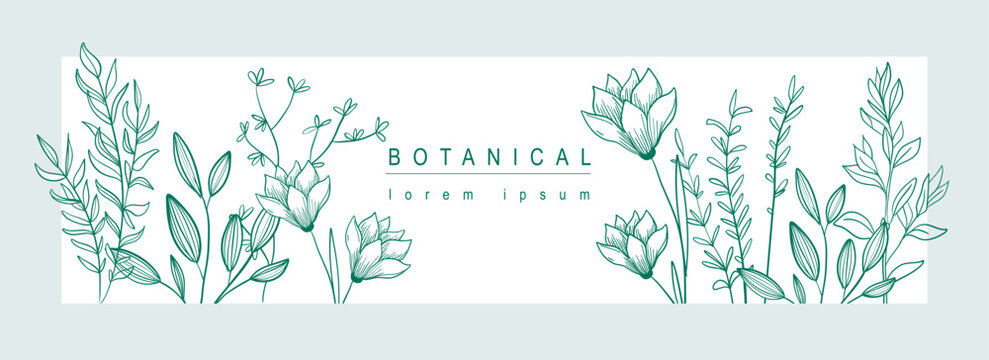 Botanical abstract background with floral line art design. Horizontal web banner in minimal style with blooming magnolia flowers and lily buds, herbs and leaves in frame template. Vector illustration.