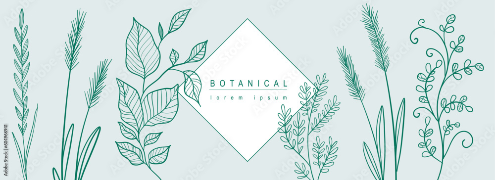 Poster botanical abstract background with floral line art design. horizontal web banner with composition of