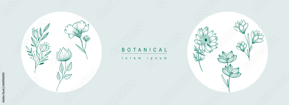 Poster botanical abstract background with floral line art design. horizontal web banner with composition of