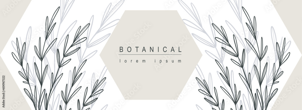 Poster Botanical abstract background with floral line art design. Horizontal web banner with composition with geometric shapes and herb leaves contours and silhouette shadow on backdrop. Vector illustration.