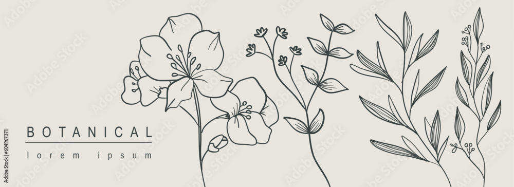 Poster Botanical abstract background with floral line art design. Horizontal web banner with minimal composition of flower blossoms on twigs, herbs and leaves on branches collection. Vector illustration.