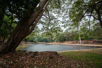 Small pond in Angkor Archaeological Park, Siem Reap, Cambodia
