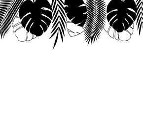 Background with silhouettes of tropical leaves.
