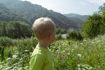 child on the meadow