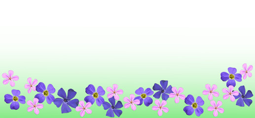 Frühlingsbanner, rosa lila Blüten auf grünem verlaufendem Hintergrund