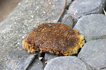 Garbage on the concrete floor, old beehives discarded on the street.