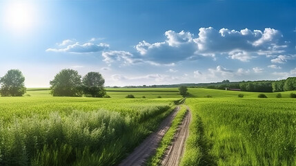 Fototapeta na wymiar Landscape with grass and sky