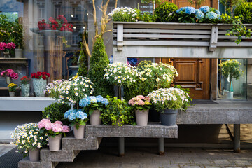 entrance to a small flower shop