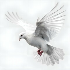 "Feathered Beauty: White Background with Isolated Dove"Ai