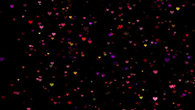 love particle background adobe after effects