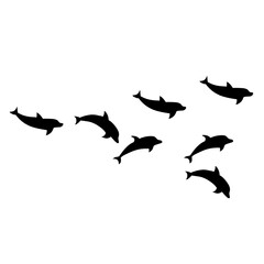 Dolphins line shape silhouette group