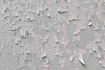 Texture of a dilapidated gray-green shabby paint wall