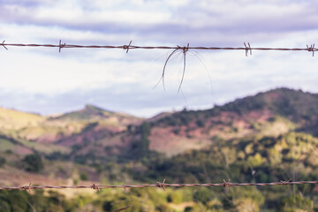 fazenda