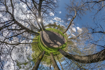 Spherical abstract aerial view in forest with clumsy branches. tiny planet transformation of spherical panorama 360 degrees. Curvature of space.