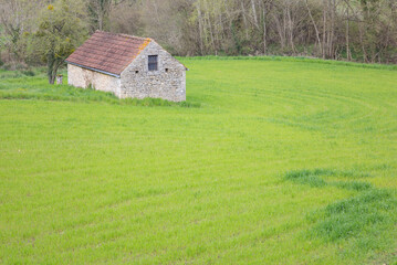 Fototapeta na wymiar Maison en pierre dans un champ vert au printemps 