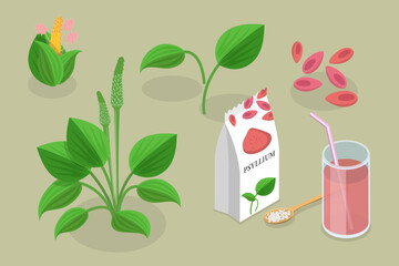 3D Isometric Flat Vector Conceptual Illustration of Psyllium Plant, Organic Healthy Vegan Dietary Fiber