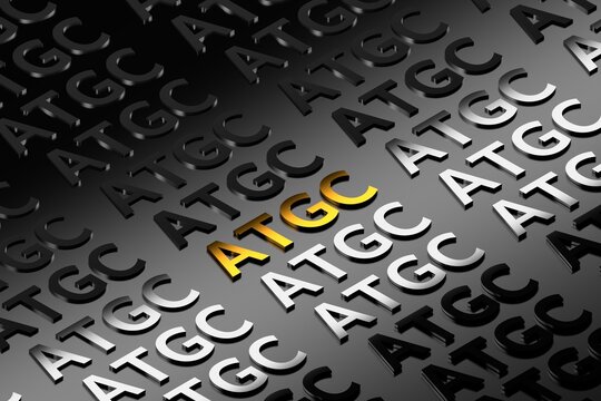 A close-up image of the letters ATGC arranged in a specific sequence, representing the genetic code of DNA. 3d render.