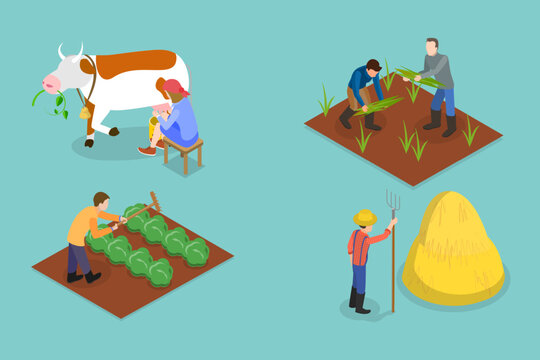 3D Isometric Flat Vector Set of Farmers, Agricultural Workers