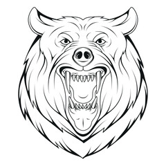 Angry bear. Vector illustration of a sketch grizzly. Roaring bear