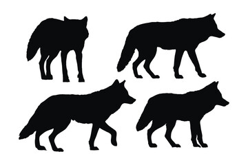 Coyote standing design on a white background. Wild coyote silhouette set vector. Coyote wolf silhouette bundle design. Carnivore animals walking in different positions silhouette collection. - obrazy, fototapety, plakaty