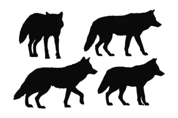 Foto op Canvas Coyote standing design on a white background. Wild coyote silhouette set vector. Coyote wolf silhouette bundle design. Carnivore animals walking in different positions silhouette collection. © Iftikhar alam