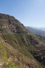 Beautiful view of rice terraces in the mountains in Yemen