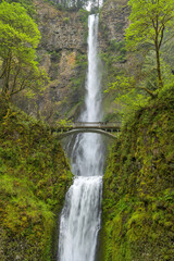 Multnomah Falls - A vertical close-up view of roaring Multnomah Falls and Multnomah Creek Bridge on a stormy Spring day. Columbia River Gorge, Oregon, USA.