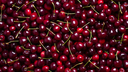 Background of ripe cherries. Close-up panorama of fresh cherries with stems. red summer berries