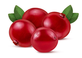 Bunch cranberry. Berry with green leaf