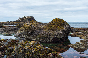 Tide Pools at Yaquina Head State Park, Oregon
