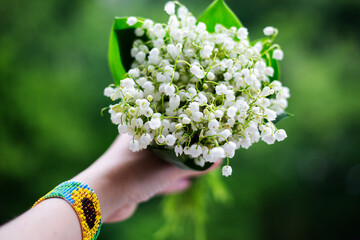 Bouquet of lilies of the valley on a green background