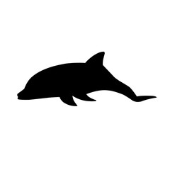 dolphin silhouette vector