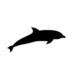 Fototapeta premium dolphin silhouette vector