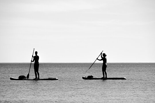 Vega Baja del Segura - Torrevieja - Paisajes y detalles de las calas de Torrevieja