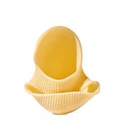 Pasta noodle isolated on white, close up