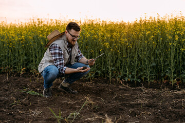 A man checking the fertility of the soil in the field.