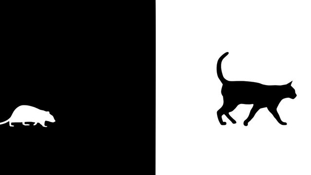 Black and white animation with walking cat and rat, seamless loop