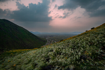 The landscape of saudi arabia during winter