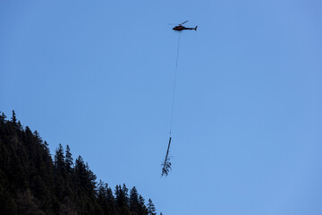 Fototapeta na wymiar a helicopter flies with a felled tree